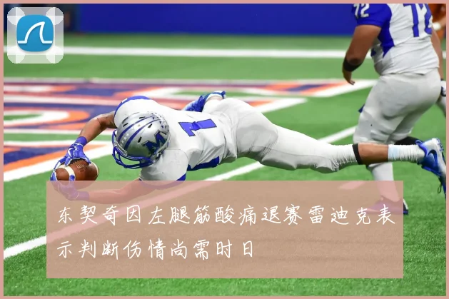 东契奇因左腿筋酸痛退赛雷迪克表示判断伤情尚需时日