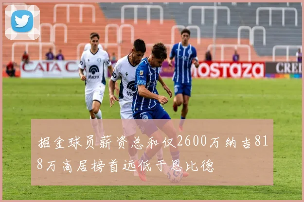 掘金球员薪资总和仅2600万纳吉818万高居榜首远低于恩比德